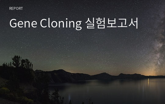 Gene Cloning 실험보고서