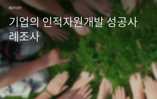 기업의 인적자원개발 성공사례조사