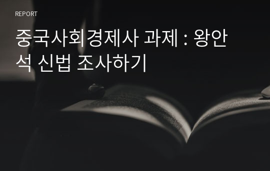 중국사회경제사 과제 : 왕안석 신법 조사하기