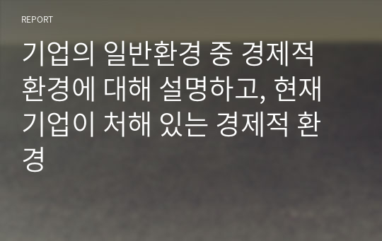 기업의 일반환경 중 경제적 환경에 대해 설명하고, 현재 기업이 처해 있는 경제적 환경