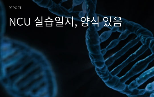 NCU 실습일지, 양식 있음