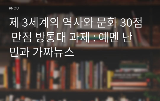 제 3세계의 역사와 문화 30점 만점 방통대 과제 : 예멘 난민과 가짜뉴스