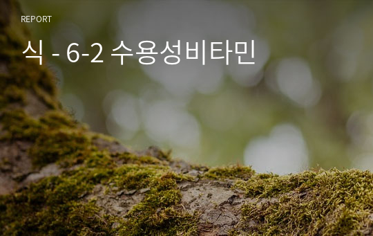 식 - 6-2 수용성비타민