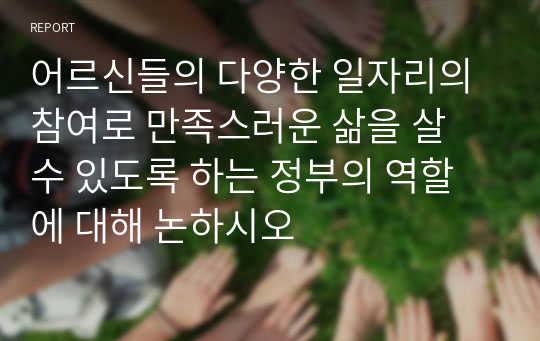 어르신들의 다양한 일자리의 참여로 만족스러운 삶을 살 수 있도록 하는 정부의 역할에 대해 논하시오