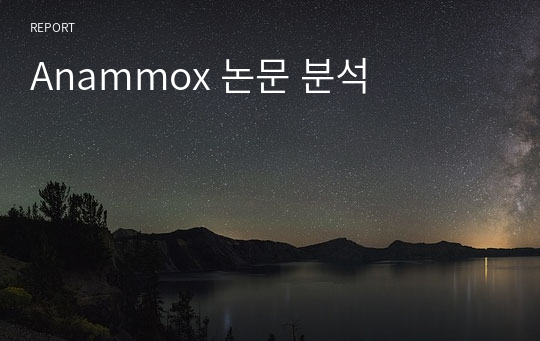 Anammox 논문 분석