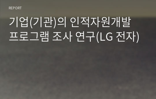 기업(기관)의 인적자원개발 프로그램 조사 연구(LG 전자)