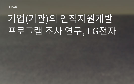 기업(기관)의 인적자원개발 프로그램 조사 연구, LG전자