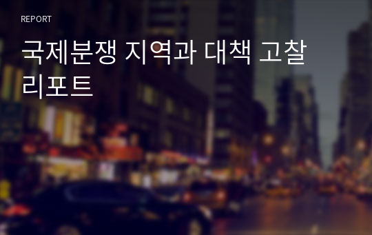 국제분쟁 지역과 대책 고찰 리포트