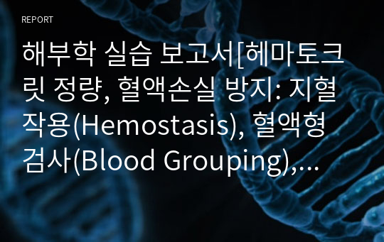 해부학 실습 보고서[헤마토크릿 정량, 혈액손실 방지: 지혈작용(Hemostasis), 혈액형 검사(Blood Grouping), 혈액의 형상 및 적혈구의 취약성,