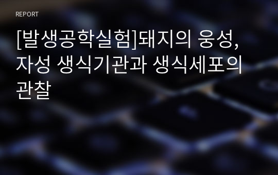 [발생공학실험]돼지의 웅성, 자성 생식기관과 생식세포의 관찰