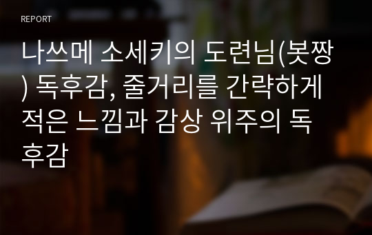 나츠메 소세키 &#039;도련님&#039; 독후감