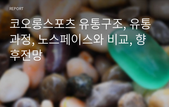 코오롱스포츠 유통구조, 유통과정, 노스페이스와 비교, 향후전망