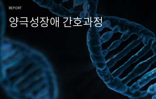 정신간호학 양극성장애 간호과정