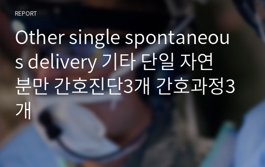 [모성] Other single spontaneous delivery 기타 단일 자연 분만 / 간호진단3개 간호과정3개