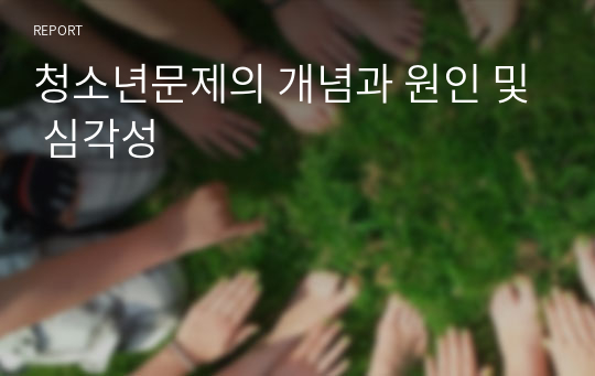 청소년문제의 개념과 원인 및 심각성