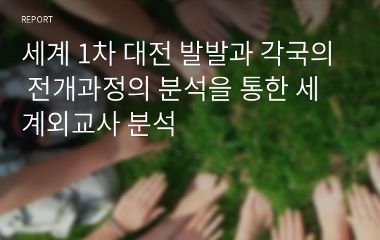 세계 1차 대전 발발과 각국의 전개과정의 분석을 통한 세계외교사 분석