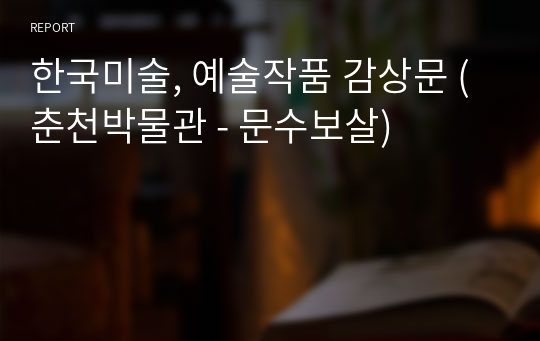 한국미술, 예술작품 감상문 (춘천박물관 - 문수보살)