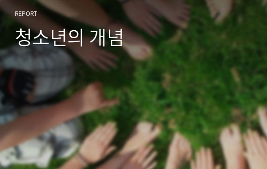 청소년의 개념