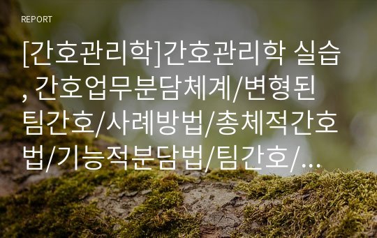 [간호관리학]간호관리학 실습, 간호업무분담체계/변형된 팀간호/사례방법/총체적간호법/기능적분담법/팀간호/모듈간호/일차간호/사례관리