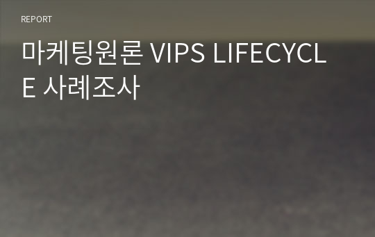 마케팅원론 VIPS LIFECYCLE 사례조사