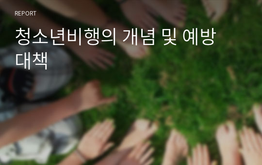 청소년비행의 개념 및 예방 대책