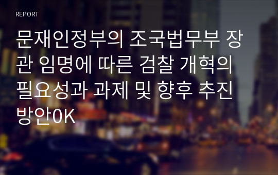 문재인정부의 조국법무부 장관 임명에 따른 검찰 개혁의 필요성과 과제 및 향후 추진방안0K