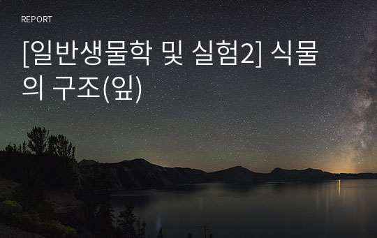 [일반생물학 및 실험2] 식물의 구조(잎)