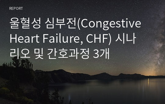울혈성 심부전(Congestive Heart Failure, CHF) 시나리오 및 간호과정 3개