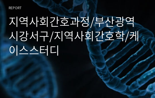 지역사회간호과정/부산광역시강서구/지역사회간호학/케이스스터디