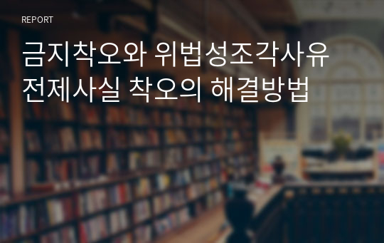 금지착오와 위법성조각사유 전제사실 착오의 해결방법