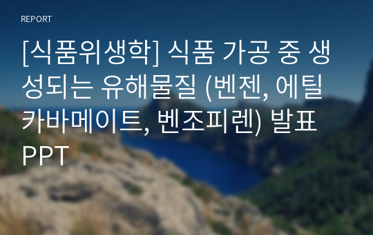 [식품위생학] 식품 가공 중 생성되는 유해물질 (벤젠, 에틸카바메이트, 벤조피렌) 발표 PPT