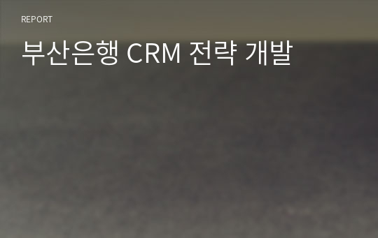 부산은행 CRM 전략 개발