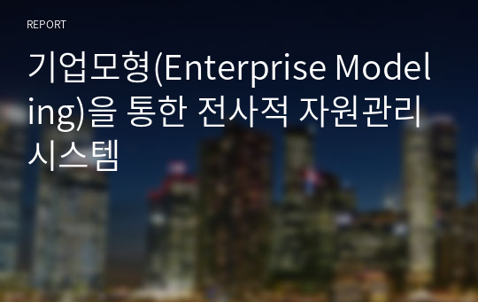 기업모형(Enterprise Modeling)을 통한 전사적 자원관리시스템