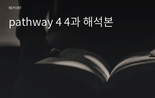 pathway 4 4과 해석본