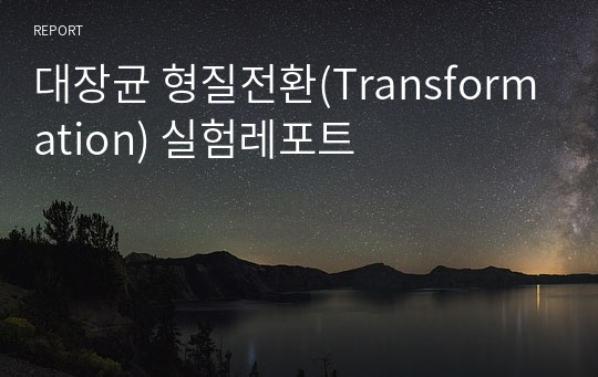 대장균 형질전환(Transformation) 실험레포트