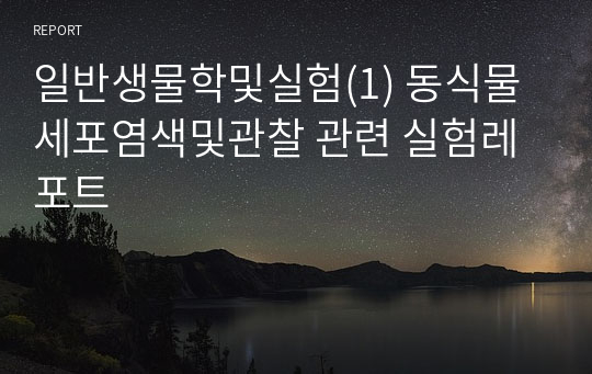 일반생물학및실험(1) 동식물세포염색및관찰 관련 실험레포트