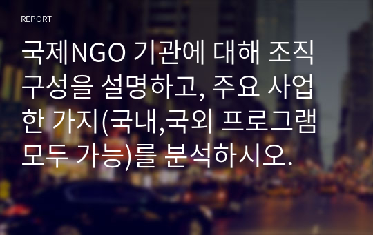 국제NGO 기관에 대해 조직 구성을 설명하고, 주요 사업 한 가지(국내,국외 프로그램 모두 가능)를 분석하시오.