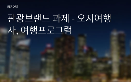 관광브랜드 과제 - 오지여행사, 여행프로그램