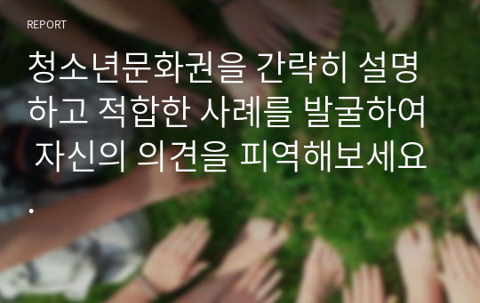 청소년문화권을 간략히 설명하고 적합한 사례를 발굴하여 자신의 의견을 피역해보세요.