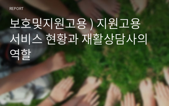 보호및지원고용 ) 지원고용 서비스 현황과 재활상담사의 역할