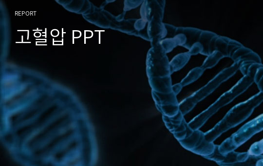 고혈압 PPT