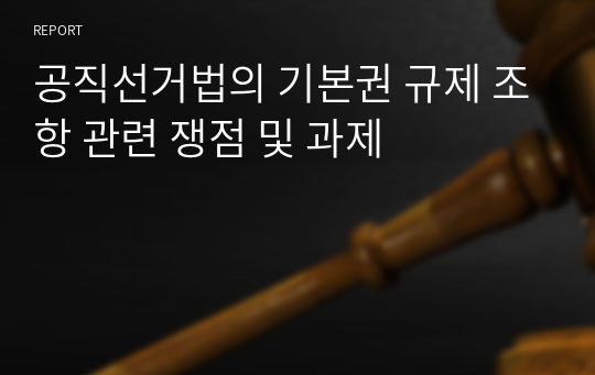 공직선거법의 기본권 규제 조항 관련 쟁점 및 과제