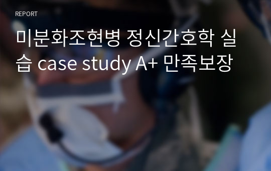 미분화조현병 정신간호학 실습 case study A+ 만족보장