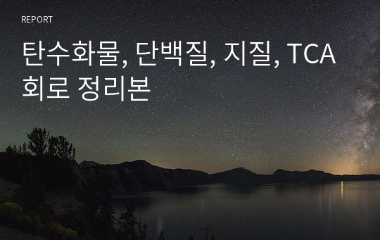 탄수화물, 단백질, 지질, TCA회로 정리본