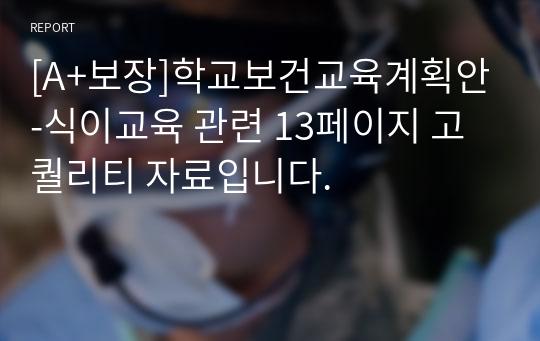 [A+보장]학교보건교육계획안-식이교육 관련 13페이지 고퀄리티 자료입니다.