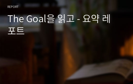 The Goal을 읽고 - 요약 레포트