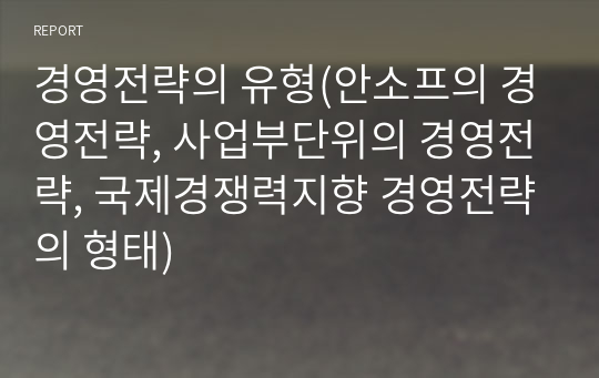 경영전략의 유형(안소프의 경영전략, 사업부단위의 경영전략, 국제경쟁력지향 경영전략의 형태)