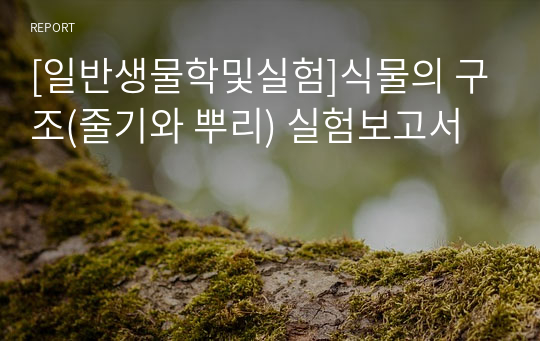 [일반생물학및실험]식물의 구조(줄기와 뿌리) 실험보고서