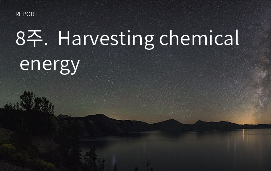 [연세대 A+ 생물레포트]  8주.  Harvesting chemical energy