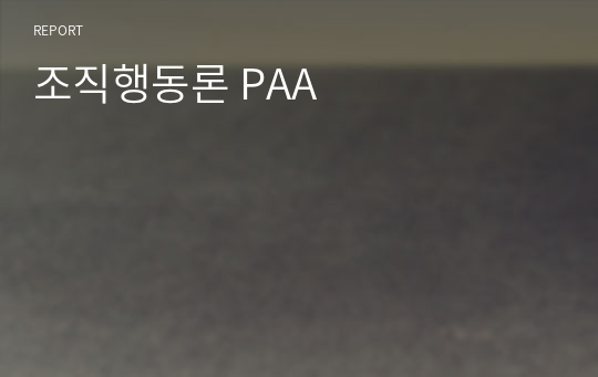 조직행동론 PAA